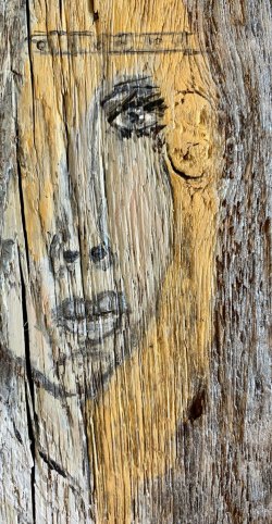IMG_8695